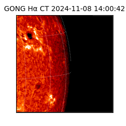 gong - 2024-11-08T14:00:42