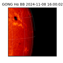gong - 2024-11-08T16:00:02