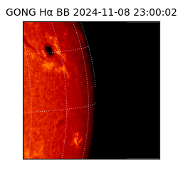 gong - 2024-11-08T23:00:02