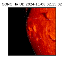 gong - 2024-11-08T02:15:02