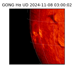 gong - 2024-11-08T03:00:02