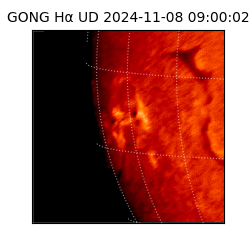 gong - 2024-11-08T09:00:02