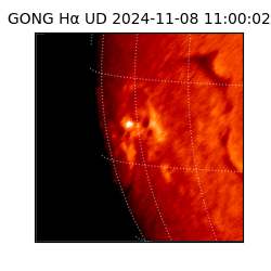 gong - 2024-11-08T11:00:02