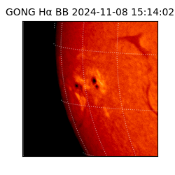 gong - 2024-11-08T15:14:02