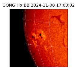 gong - 2024-11-08T17:00:02