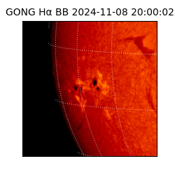 gong - 2024-11-08T20:00:02