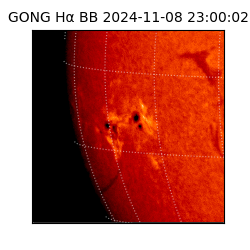 gong - 2024-11-08T23:00:02