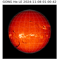 gong - 2024-11-08T01:00:42