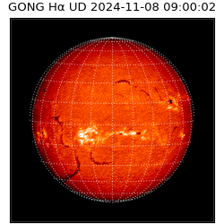 gong - 2024-11-08T09:00:02
