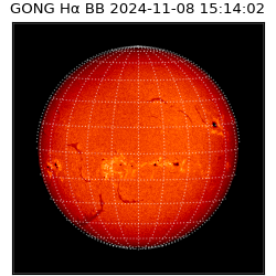 gong - 2024-11-08T15:14:02