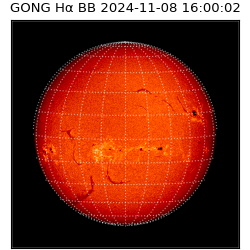 gong - 2024-11-08T16:00:02