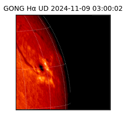 gong - 2024-11-09T03:00:02