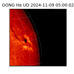 gong - 2024-11-09T05:00:02