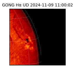 gong - 2024-11-09T11:00:02