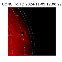 gong - 2024-11-09T12:00:22