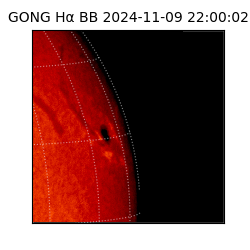 gong - 2024-11-09T22:00:02