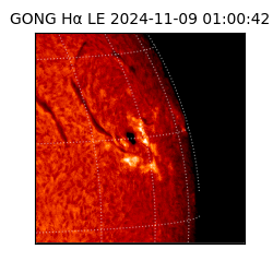 gong - 2024-11-09T01:00:42