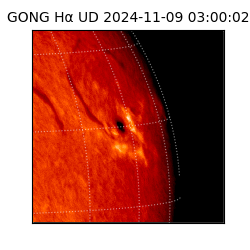gong - 2024-11-09T03:00:02