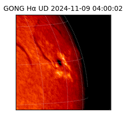 gong - 2024-11-09T04:00:02