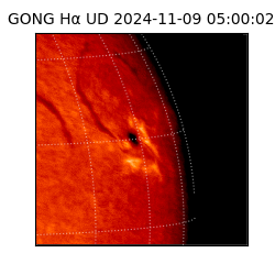 gong - 2024-11-09T05:00:02