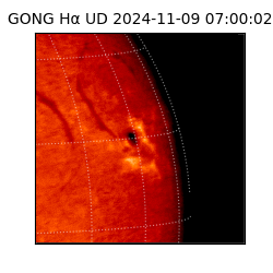 gong - 2024-11-09T07:00:02