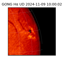 gong - 2024-11-09T10:00:02