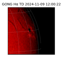 gong - 2024-11-09T12:00:22