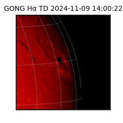 gong - 2024-11-09T14:00:22