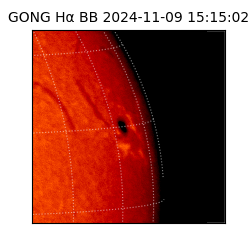gong - 2024-11-09T15:15:02
