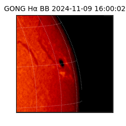 gong - 2024-11-09T16:00:02