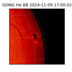 gong - 2024-11-09T17:00:02