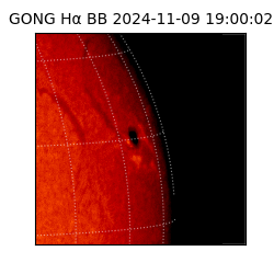 gong - 2024-11-09T19:00:02