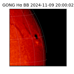 gong - 2024-11-09T20:00:02