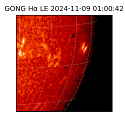 gong - 2024-11-09T01:00:42