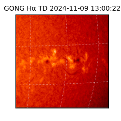 gong - 2024-11-09T13:00:22