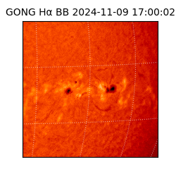gong - 2024-11-09T17:00:02