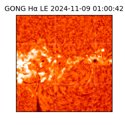 gong - 2024-11-09T01:00:42