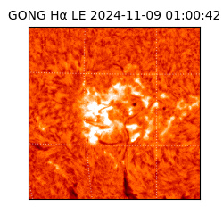 gong - 2024-11-09T01:00:42