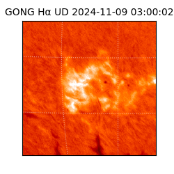 gong - 2024-11-09T03:00:02