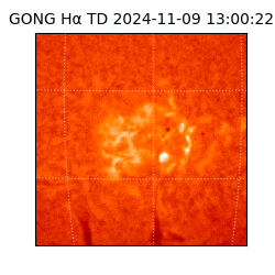 gong - 2024-11-09T13:00:22