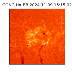 gong - 2024-11-09T15:15:02