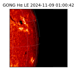gong - 2024-11-09T01:00:42