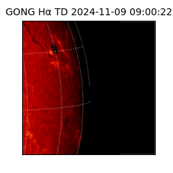 gong - 2024-11-09T09:00:22