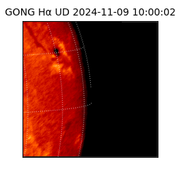 gong - 2024-11-09T10:00:02