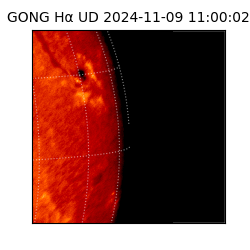 gong - 2024-11-09T11:00:02