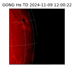 gong - 2024-11-09T12:00:22