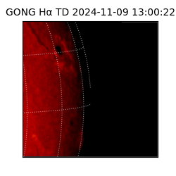 gong - 2024-11-09T13:00:22