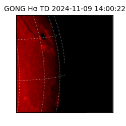 gong - 2024-11-09T14:00:22