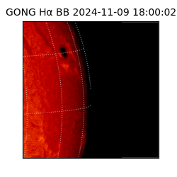 gong - 2024-11-09T18:00:02