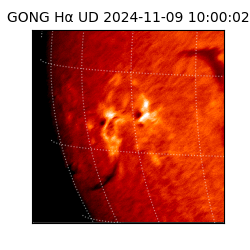 gong - 2024-11-09T10:00:02